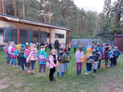 Vermilion Niepubliczna Szkoła Podstawowa